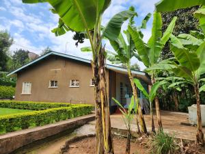 a house with a bunch of banana trees in front of it at Stellas Villa in Marangu