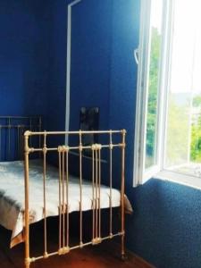 a bed in a blue room with a window at Grandmother Naziko in Vani