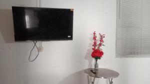 a television hanging on a wall with a vase of flowers at Jakcqueline in Pucallpa