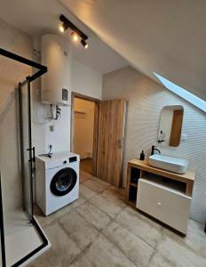a bathroom with a washing machine and a sink at Útulný podkrovný apartmán, Pet Friendly in Martin