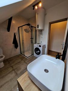 a bathroom with a sink and a washing machine at Útulný podkrovný apartmán, Pet Friendly in Martin