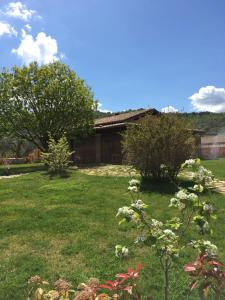 Gallery image of Agriturismo Mulin di mezzo in Montefiascone