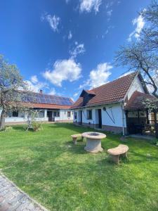 a yard with two benches in front of a house at Patakparti Pihenő in Cserépfalu