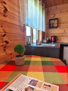 a kitchen with a potted plant on a colorful rug at Brīvdienu mājas Lejnieki in Strante