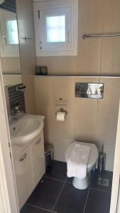 a small bathroom with a toilet and a sink at andros prive suites in Kipri +20 photos