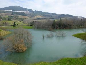 a large lake with trees in the middle of it at Estudio con Rincón de Cortesía Pusantenea in Berástegui