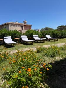 a row of park benches sitting in a field of flowers at Villa LUMIè Stintino in Stintino