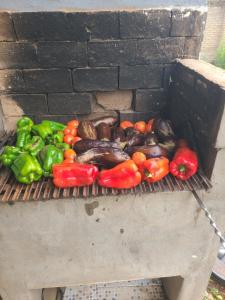 Ein Haufen Gemüse liegt auf dem Grill in der Unterkunft San Blas in Ypacarai