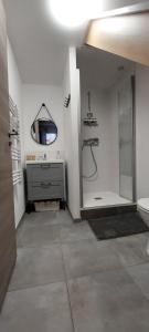 a bathroom with a shower and a sink and a toilet at Studio duplex à Savenay - Calme & tout confort entre Nantes & l'océan in Savenay