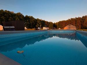 a swimming pool with blue water and trees in the background at bosco glamping in Modrzewek