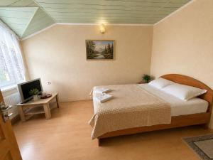 a bedroom with a bed and a television in it at Готель Українське in Vinnytsya