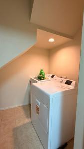 a washer and dryer with a green frog sitting on top of it at My apartment in Georgetown 2 Bedroom in Georgetown