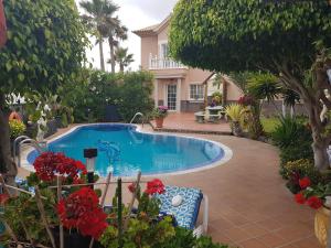 Basen w obiekcie Apartamentos Los Delfines lub w pobliżu
