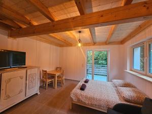 a bedroom with a bed and a flat screen tv at Apartamenty nad potokiem in Krościenko