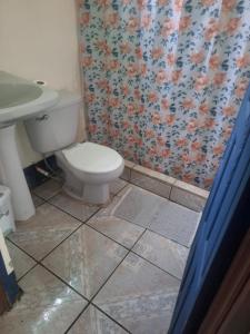 a bathroom with a toilet and a shower curtain at Cabinas Tortuguero Natural in Tortuguero