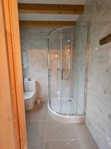 a bathroom with a shower and a toilet at Apartamenty nad potokiem in Krościenko