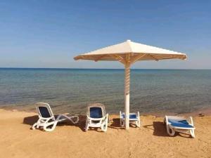 Gallery image of Al Minisi Selena Bay in Hurghada