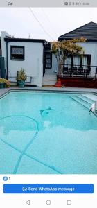 a picture of a swimming pool with a dolphin in the water at Rs Air in Gqeberha