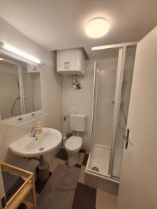 a bathroom with a toilet sink and a shower at Apartment im Stadtzentrum in Steyr