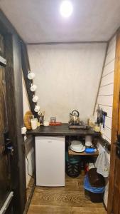a small kitchen with a counter in a room at Горный приют in Yabluniv