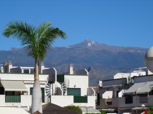een palmboom en gebouwen met een berg op de achtergrond bij Residencial Los Geranios 13 in Costa Del Silencio