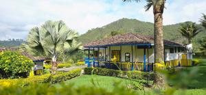 a yellow and blue house with a palm tree at El Rancho de Salento in Salento