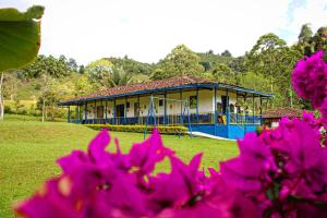 a blue and white building with pink flowers in the foreground at El Rancho de Salento in Salento
