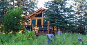 a large wooden cabin in the middle of a forest at Moose Cabin in Anchor Point