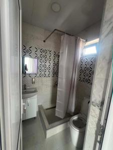 a bathroom with a shower and a toilet and a sink at Paceri in Itʼkhvisi