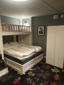 a bedroom with a bunk bed and a ladder at The Malt House Inn in Gothenburg