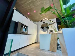 a kitchen with white cabinets and a large plant at gleisbett12-4 in Meiningen