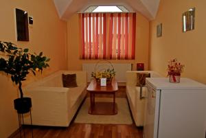 a living room with a couch and a table at Erika Panzió in Ditrău