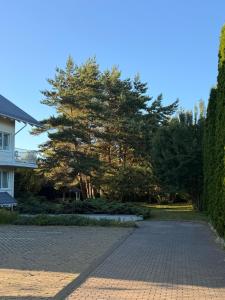 a driveway in front of a house with a tree at Villa Apartments in Palanga