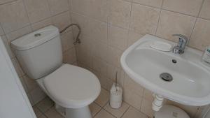 a bathroom with a white toilet and a sink at Vila Jitka in České Budějovice