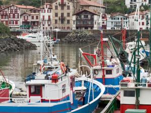 a group of boats are docked in a harbor at Ibis Irun in Irún