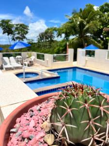 a cactus in a pot next to a swimming pool at Villa Velha Flats in Itamaracá