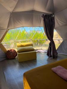 a room with a tent with a bed and a couch at Dôme sur la Passe de Tiputa in Rangiroa