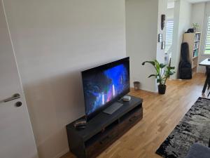 a living room with a flat screen tv on a stand at Sonnige Wohnung in Grenchen