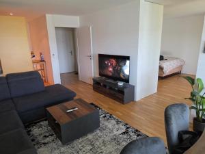 a living room with a couch and a flat screen tv at Sonnige Wohnung in Grenchen