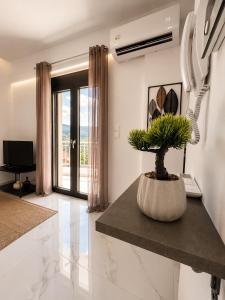 a living room with a potted plant on a counter at Skyloft Meteora 1 in Kalabaka