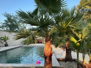 a pool with palm trees in front of a house at Mes Chambres à la campagne in Orange
