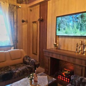 a living room with a couch and a television above a fireplace at Dworek Biała Dama Klimatyczne Pokoje in Gniezno