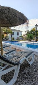 a group of lounge chairs next to a swimming pool at Casería El Albercón in Mancha Real
