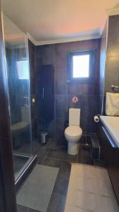a bathroom with a toilet and a shower and a sink at Elthea Villa in Skala Fourkas +18 photos