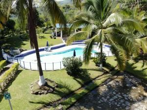 an overhead view of a swimming pool with palm trees at Finca Hotel Campestre Salitre Villeta in Villeta