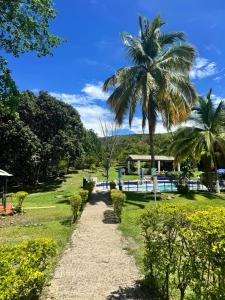 a path with a palm tree in a park at Finca Hotel Campestre Salitre Villeta in Villeta