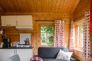 a living room with a couch in a log cabin at Alevi Camping in Stöllet