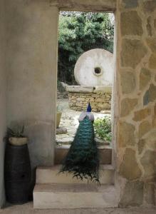 a peacock tail sitting on the steps of a building at Candalù - Villa Giardinata in Valderice +25 photos