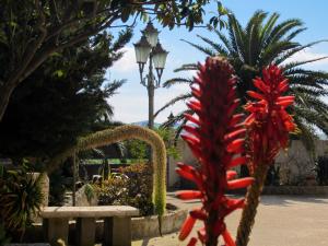 a red flower on a bench next to a street light at Candalù - Villa Giardinata in Valderice