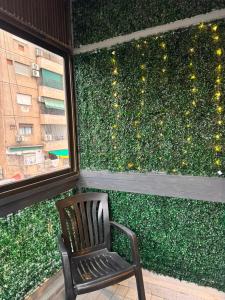 a chair sitting in front of a green wall at Danella in San Miguel de Tucumán +1 photo